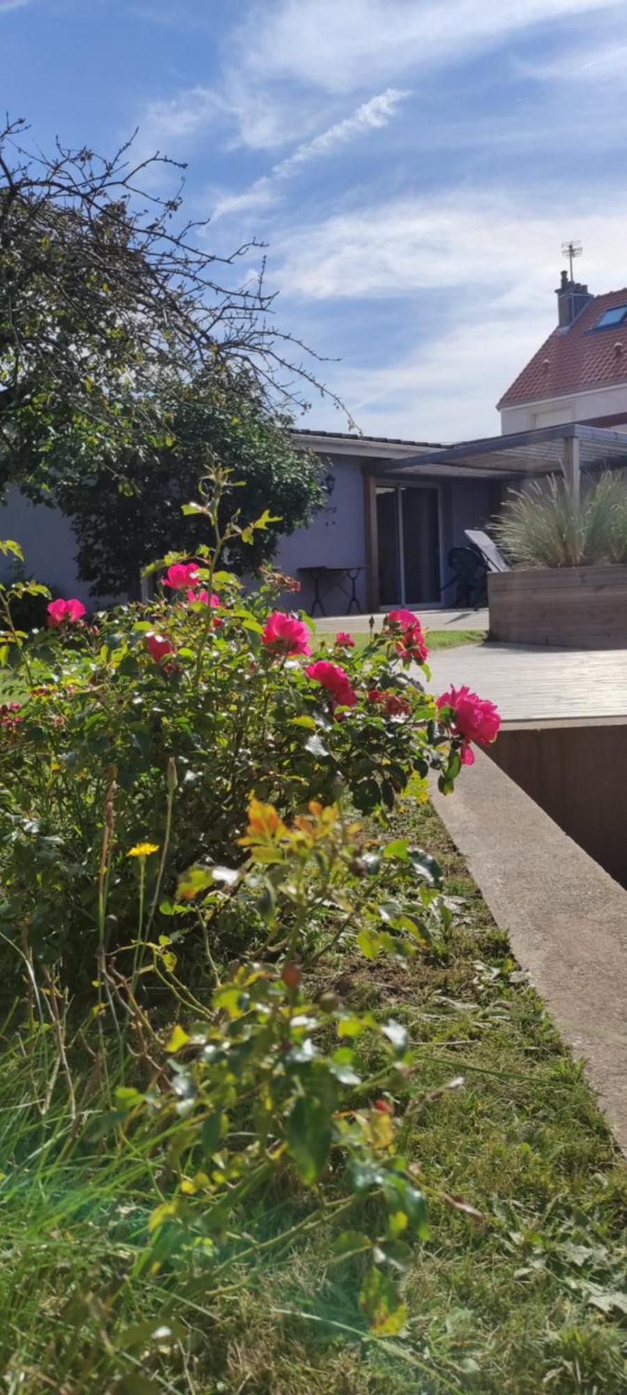 Berck Maison De Vacances Avec Terrasse Et Jardin, Dış mekan fotoğraf